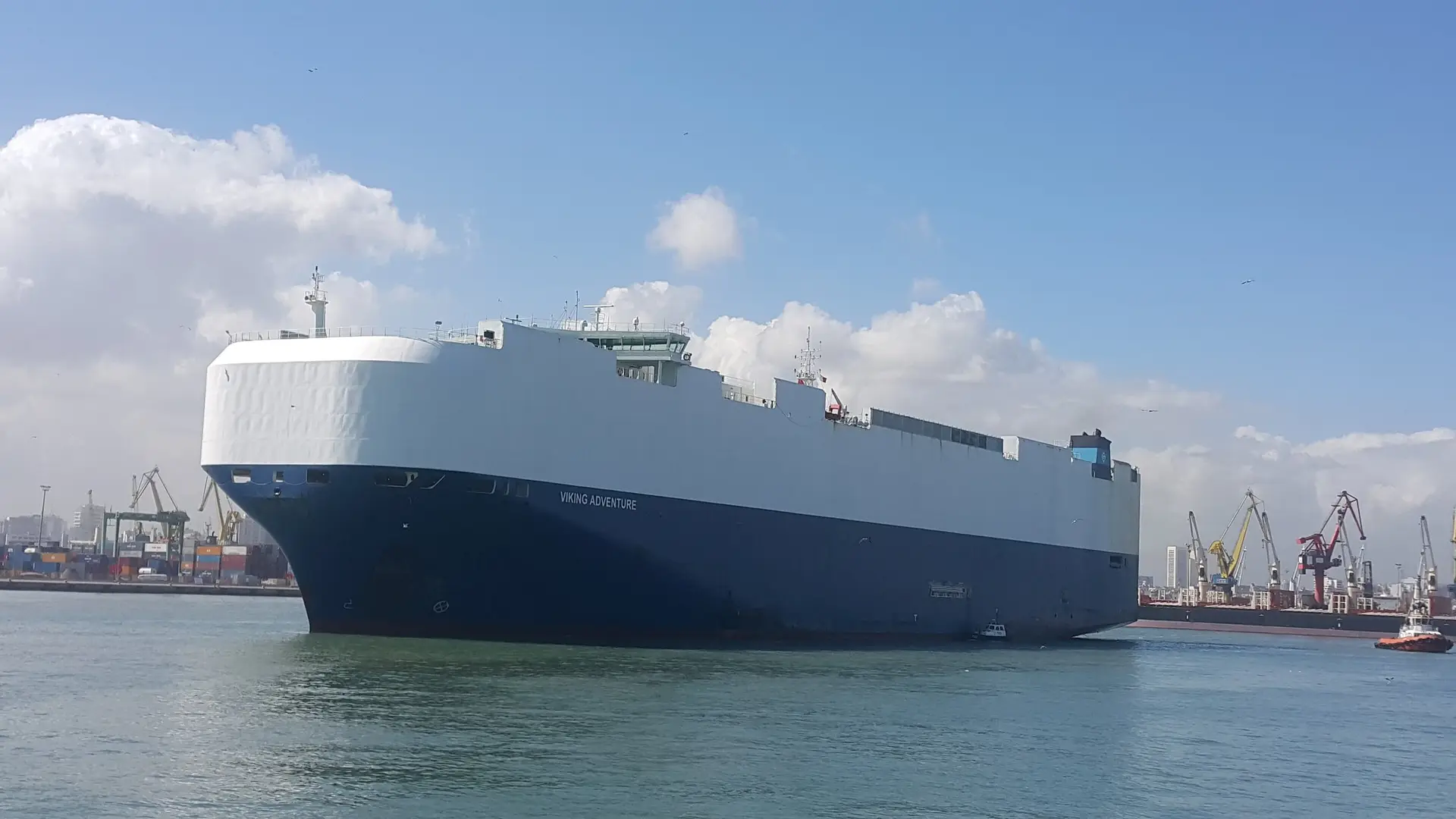 A white and navy vehicle carrier ship arriving in port on calm water under a blue sky with white clouds.